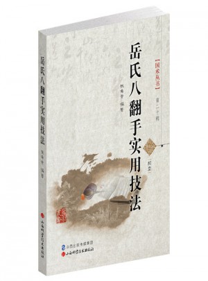 岳氏八翻手實用技法（配盤）