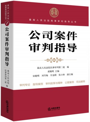 公司案件審判指導