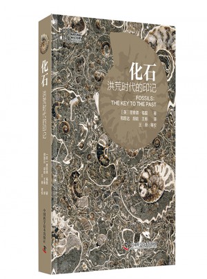 化石：洪荒時代的印記