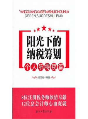 陽(yáng)光下的納稅籌劃:個(gè)人所得稅篇