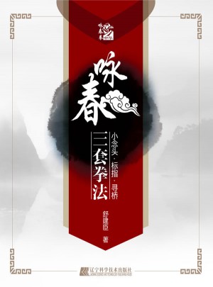 詠春三套拳法