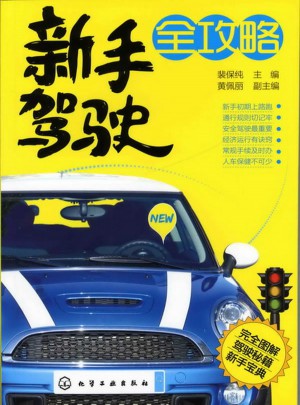 新手駕駛全攻略