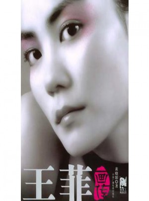王菲畫傳