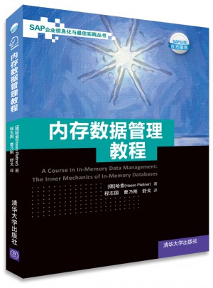 內存數據管理教程