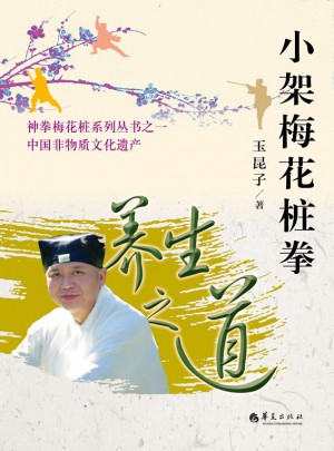 小架梅花樁拳