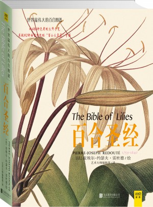 百合圣經(jīng)
