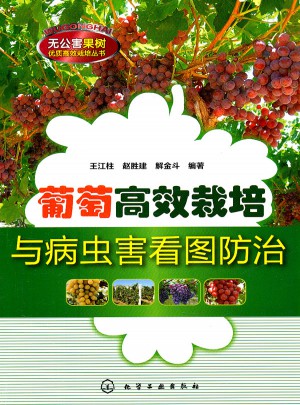 葡萄高效栽培與病蟲害看圖防治