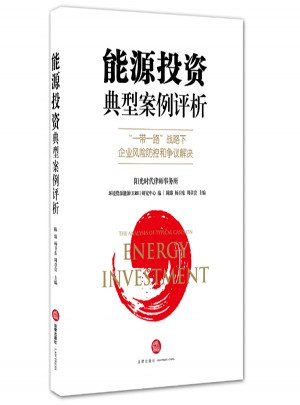 能源投資典型案例評析