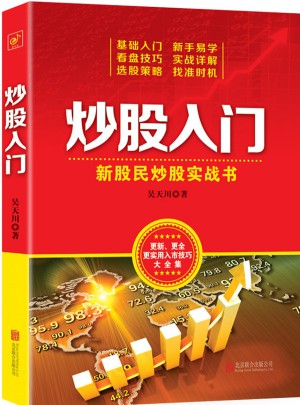 炒股入門：新股民炒股實戰書