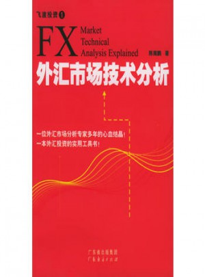 外匯市場(chǎng)技術(shù)分析：飛渡投資（1）