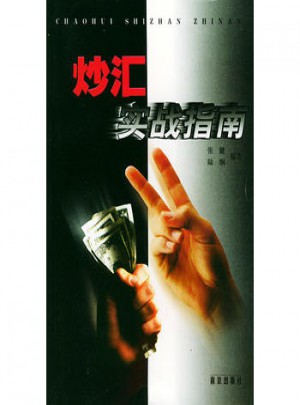 炒匯實(shí)戰(zhàn)指南