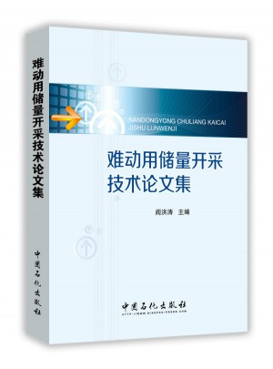 難動用儲量開采技術論文集