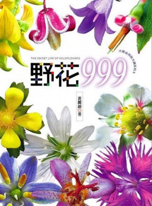 野花