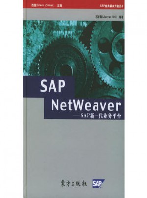 SAP NetWeaver·SAP新一代業務平臺