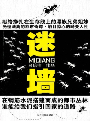 迷墻