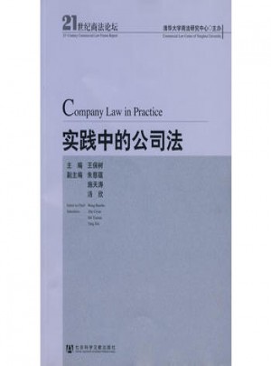 實踐中的公司法