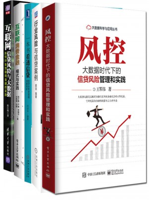 風控大數據時代下的信貸風險管理和實踐（全4冊）