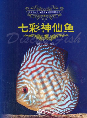 七彩神仙魚