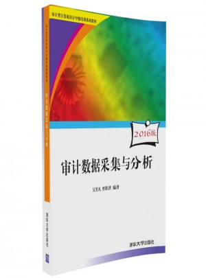審計數據采集與分析