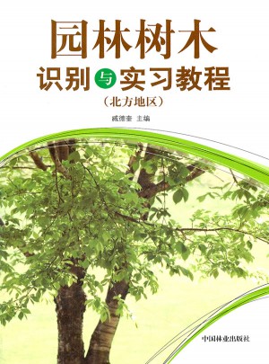 園林樹(shù)木識(shí)別與實(shí)習(xí)教程(北方地區(qū))
