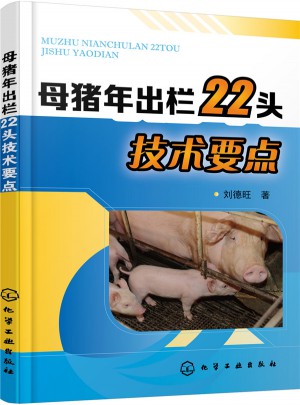 母豬年出欄22頭技術要點