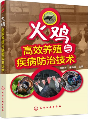 火雞高效養殖與疾病防治技術