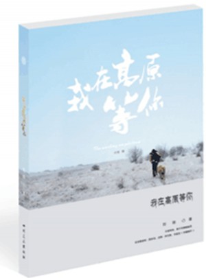 我在高原等你