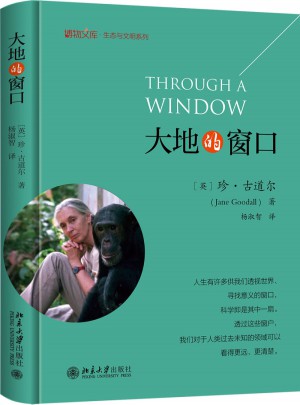 大地的窗口