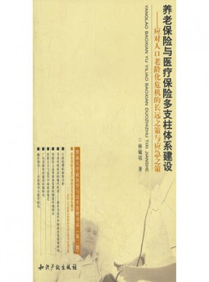 養老保險與醫療保險多支柱體系建設