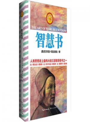 智慧書