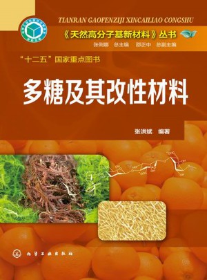 天然高分子基新材料叢書：多糖及其改性材料