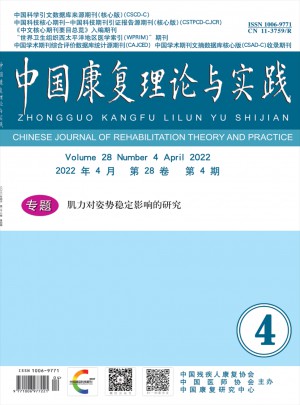 中國康復(fù)理論與實(shí)踐
