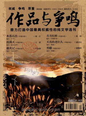 作品與爭鳴雜志