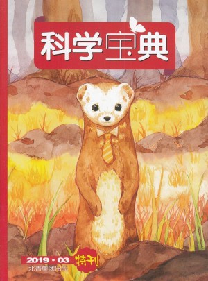 科學(xué)寶典雜志訂閱
