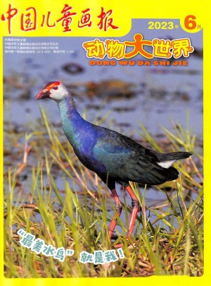 動(dòng)物大世界雜志訂閱