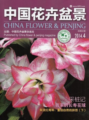 中國花卉盆景雜志訂閱