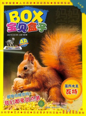 寶貝盒子BOX雜志訂閱