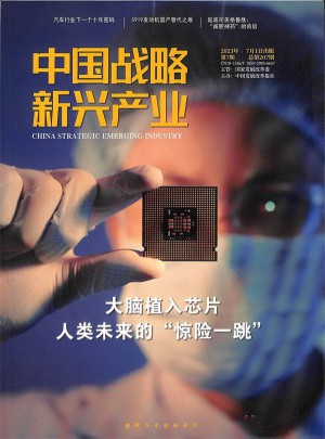 中國戰(zhàn)略新興產(chǎn)業(yè)
