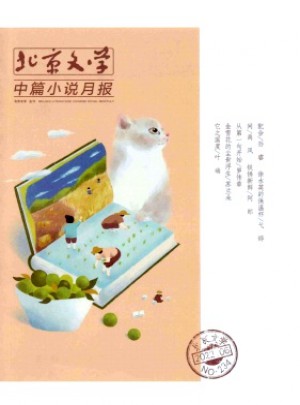 北京文學·中篇小說月報