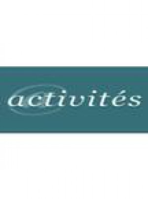 Activites-revue Electronique